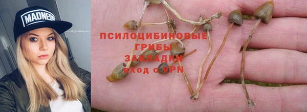 каннабис Тайга