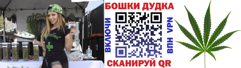 Купить где  Кузнецк  Канабис сатива 